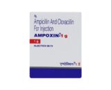 Ampoxin 1gm Injection 1's