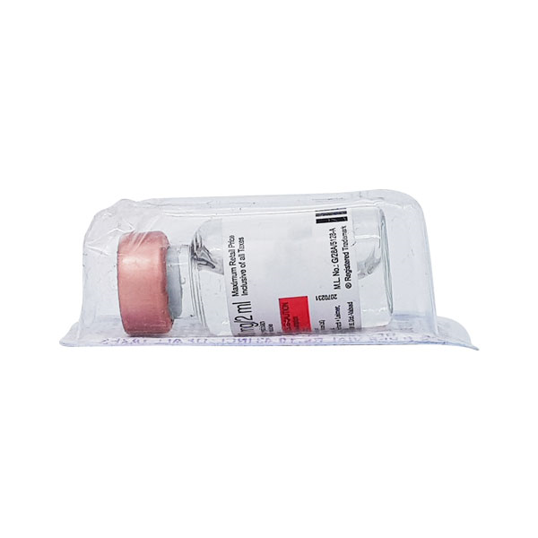 Biogaracin 80mg Injection 2ml - Image 2