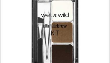 Wet N Wild Ultimate Brow Kit - Ash Brown 2.5 gm