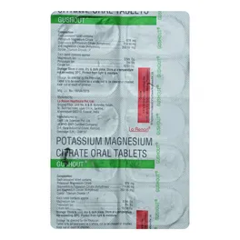 GUSHout Tablet - Image 2