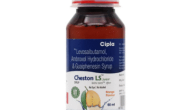 Cheston LS Junior Syrup Mango Sugar Free