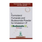 Budamate 400 Transcap 30'S