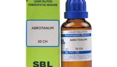 SBL Abrotanum 30 Liquid 30 ml