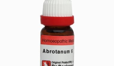 Dr. Reckeweg Abrotanum 6 Liquid 11 ml