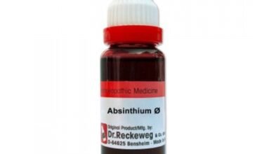 Dr. Reckeweg Absinthium Ø Liquid 20 ml