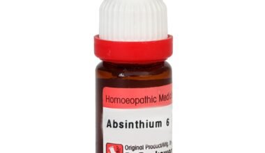 Dr. Reckeweg Absinthium 6 Liquid 11 ml