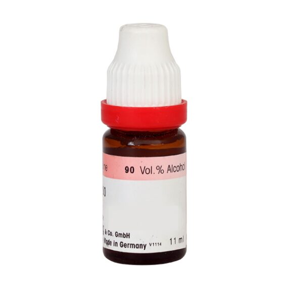 Dr. Reckeweg Absinthium 6 Liquid 11 ml - Image 2
