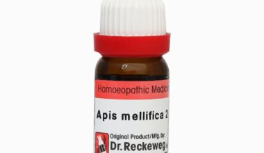 Dr. Reckeweg Apis Mellifica 200 Liquid 11 ml
