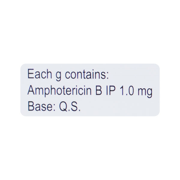 Amfy Gel(Topical) 30gm - Image 3